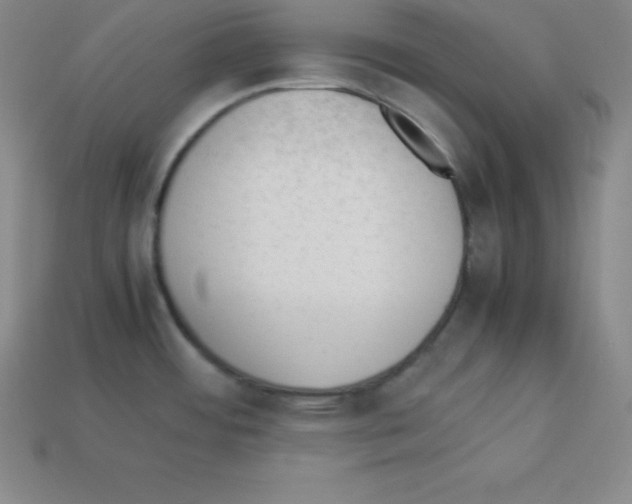 X0000112851484200910021241