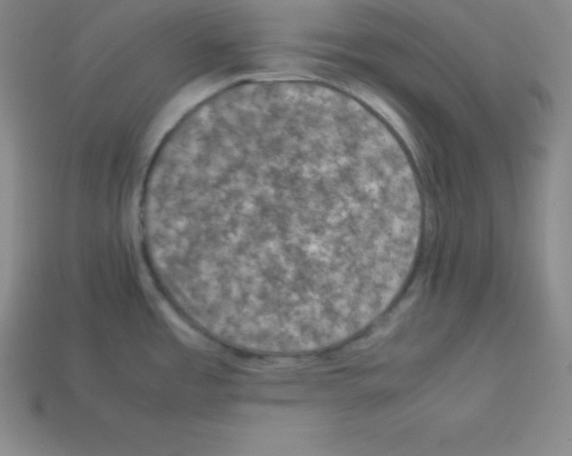 X0000112851485200910021241