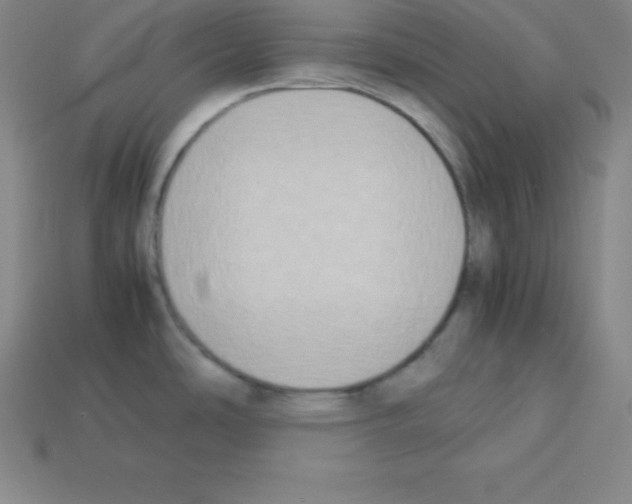 X0000112851486200910021241