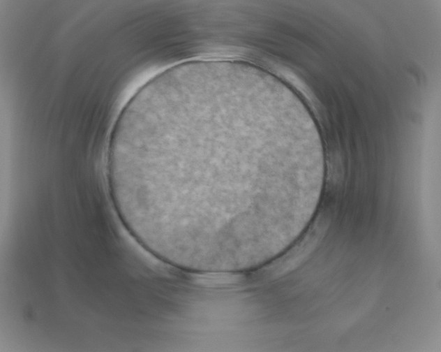 X0000112851487200910021241