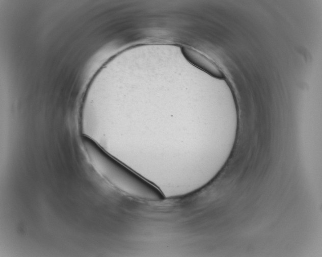 X0000112851488200910021241