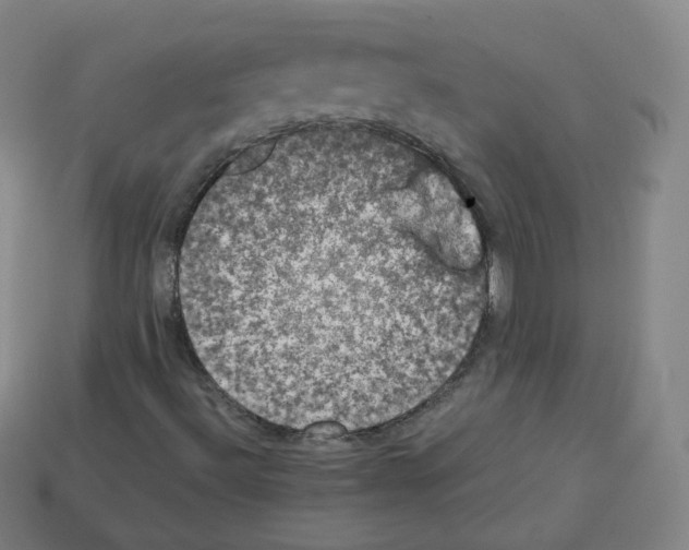 X0000112851492200910021241