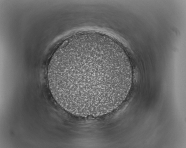 X0000112851494200910021241