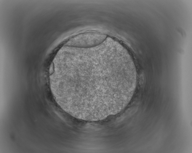 X0000112851496200910021241