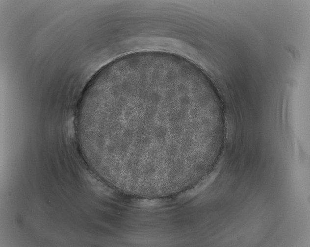 X0000112851497200910021241