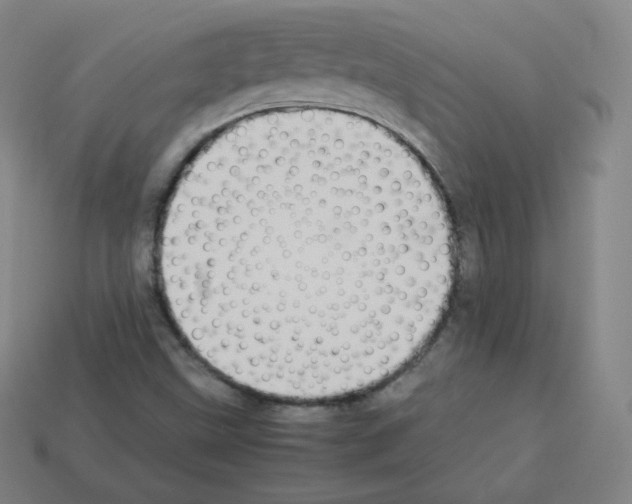 X0000112851499200910021241