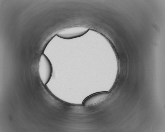 X0000112851500200910021241