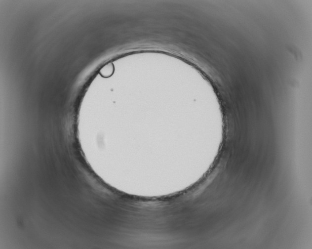 X0000112851502200910021241