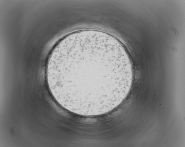 X0000112851503200910021241