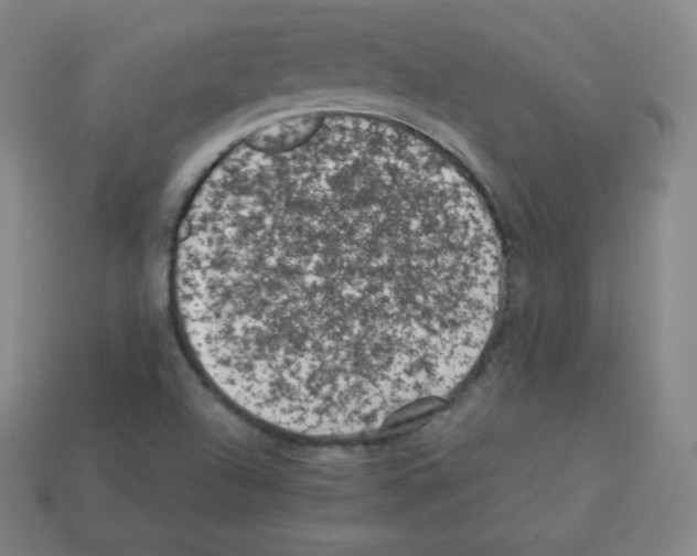 X0000112851504200910021241