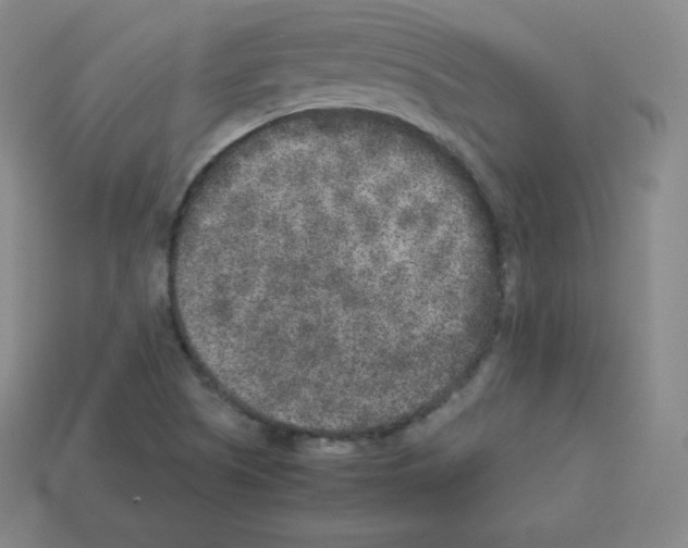 X0000112851505200910021241