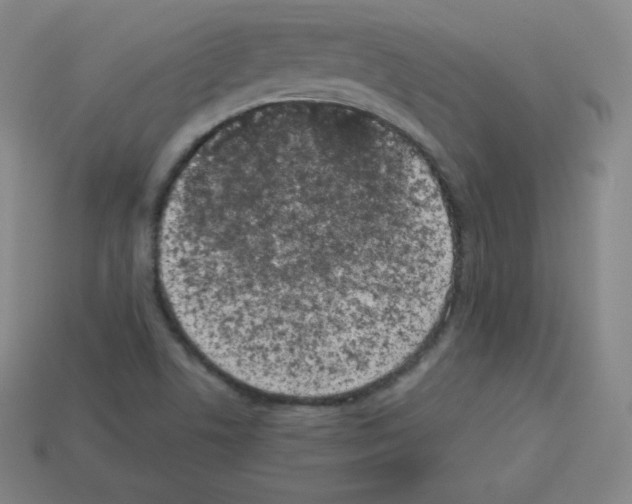 X0000112851506200910021241