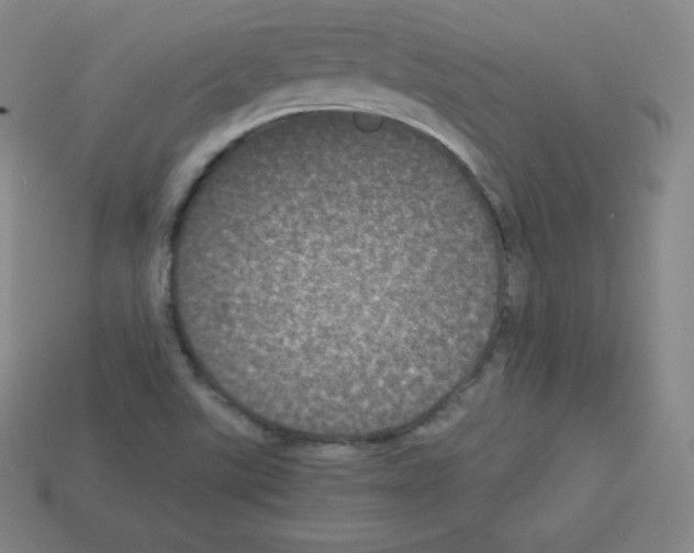 X0000112851507200910021241