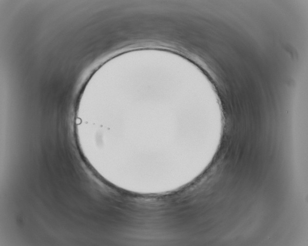 X0000112851508200910021241