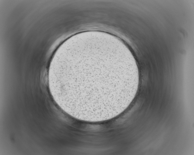 X0000112851509200910021241