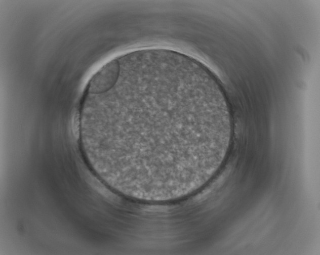 X0000112851510200910021241