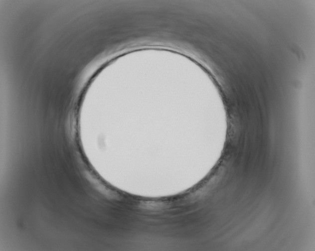 X0000112851511200910021241