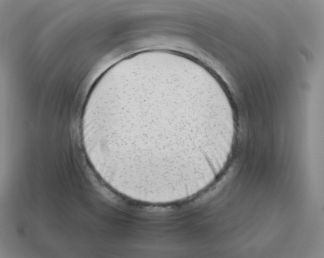 X0000112851513200910021241