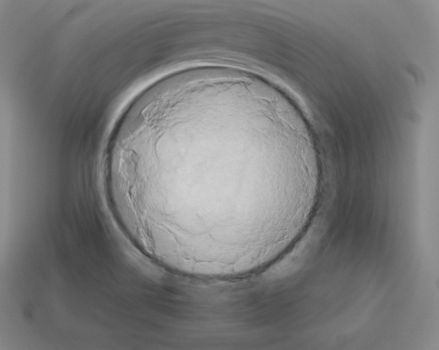 X0000112851514200910021241