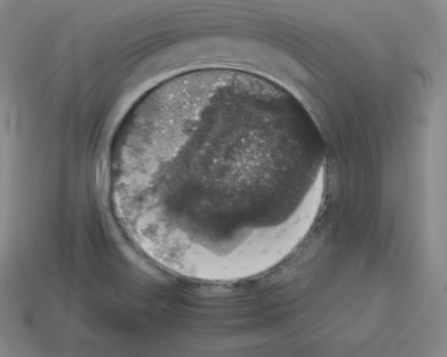 X0000112851515200910021241