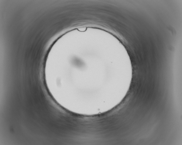 X0000112851518200910021241