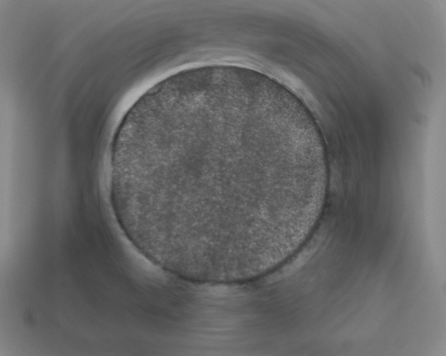 X0000112851520200910021241