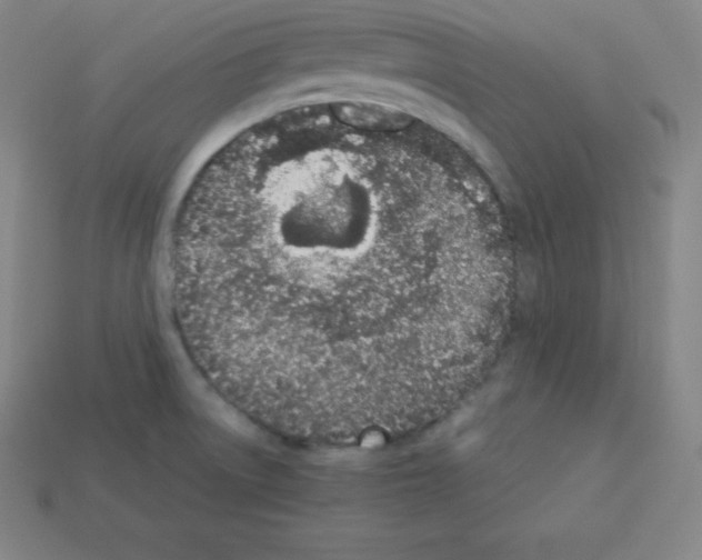 X0000112851522200910021241