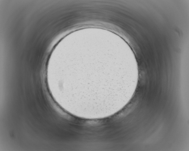 X0000112851523200910021241