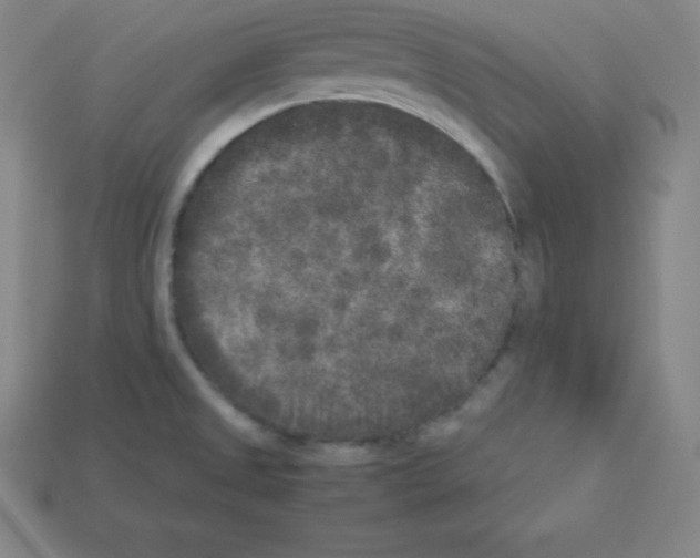 X0000112851525200910021241