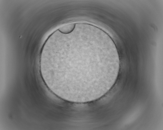 X0000112851526200910021241