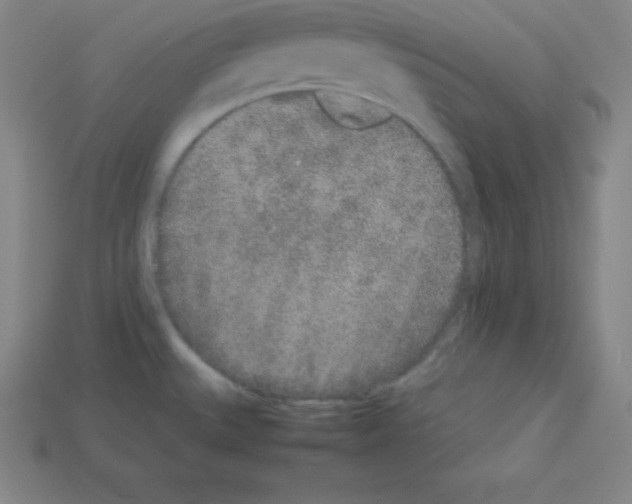 X0000112851527200910021241