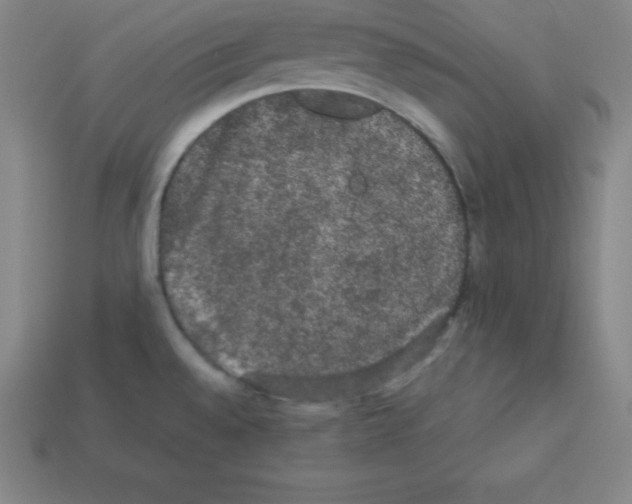 X0000112851528200910021241