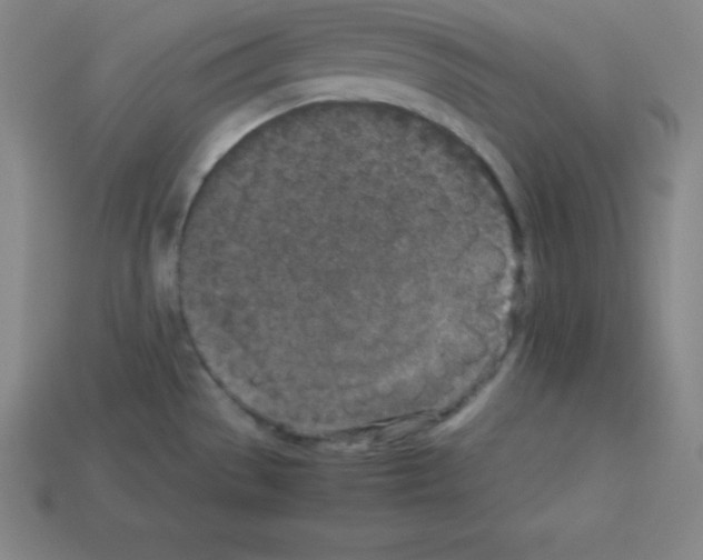 X0000112851529200910021241