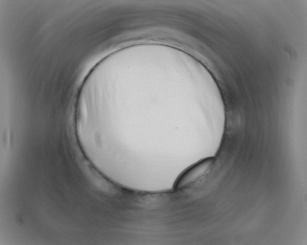 X0000112851530200910021241