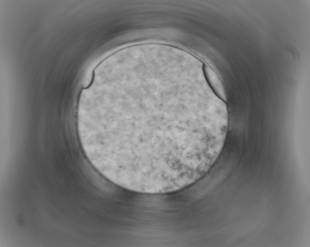 X0000112851532200910021241