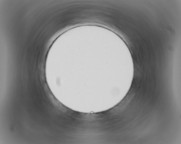 X0000112851534200910021241