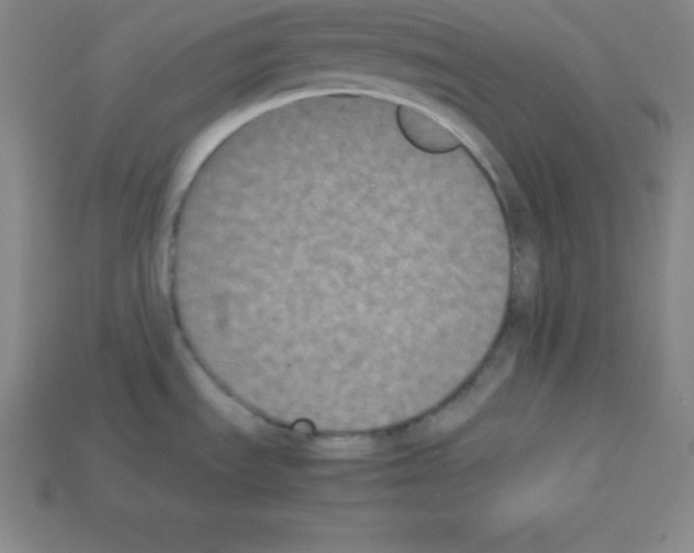 X0000112851535200910021241