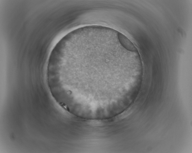 X0000112851536200910021241