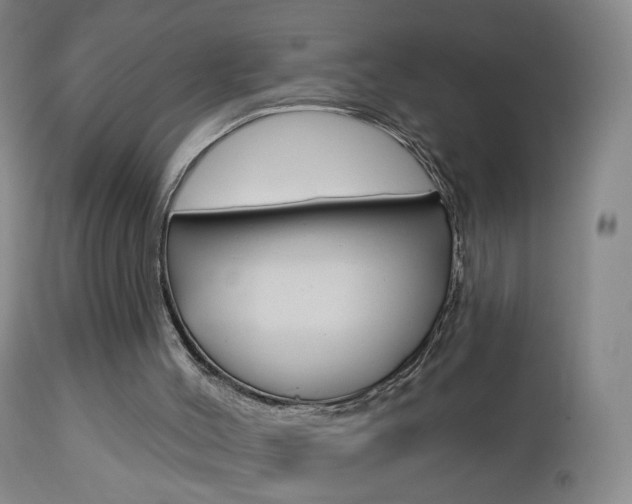 X0000112860004200908211106