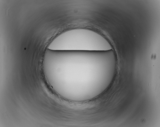 X0000112860018200908211106