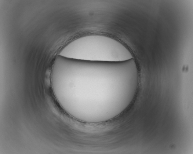 X0000112860022200908211106