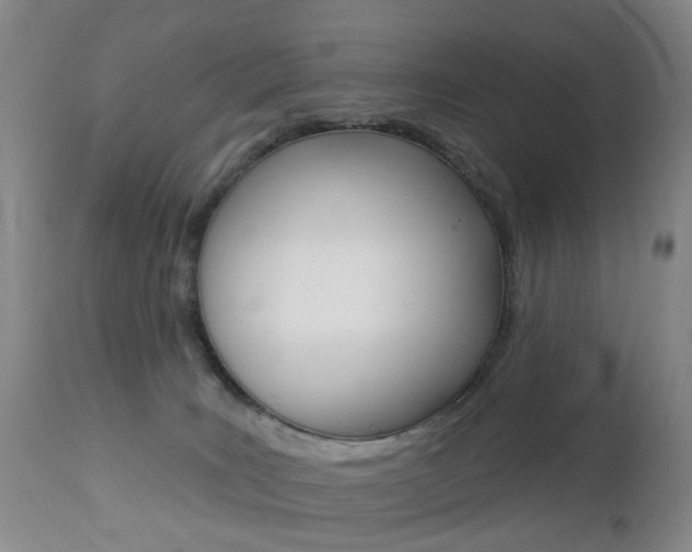 X0000112860035200908211106