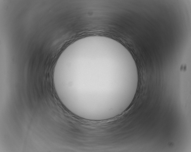 X0000112860037200908211106