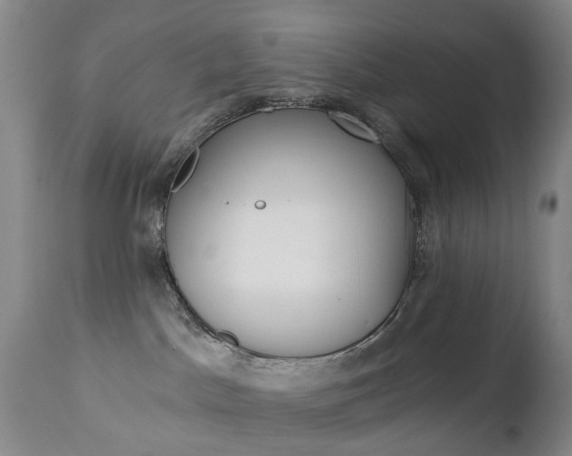 X0000112860045200908211106