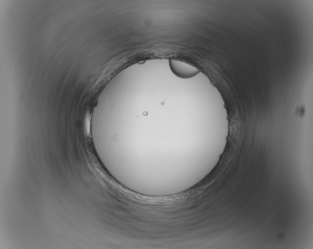 X0000112860046200908211105