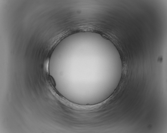 X0000112860047200908211105
