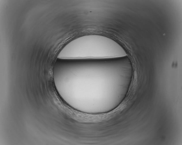 X0000112860048200908211105
