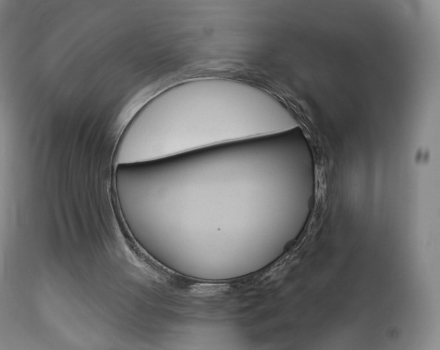 X0000112860051200908211105