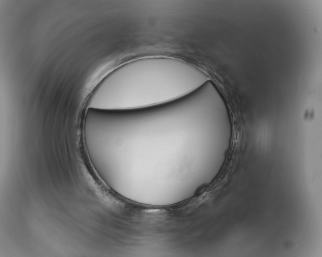 X0000112860053200908211105