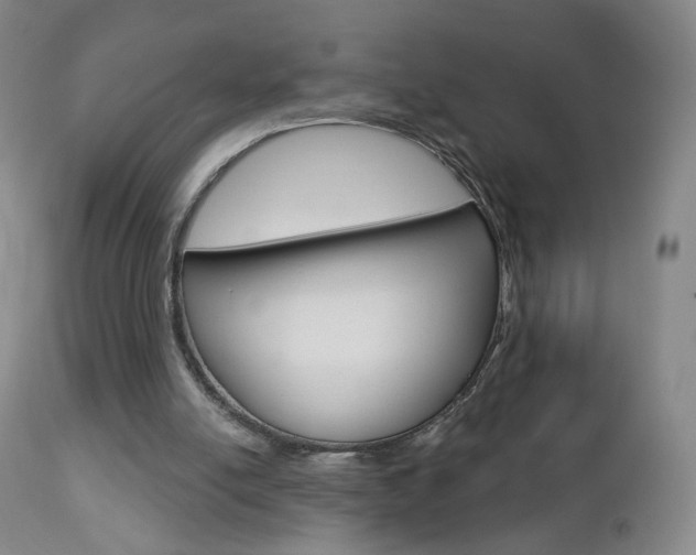 X0000112860054200908211105